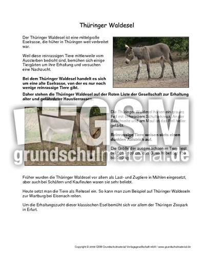 Thüringer-Waldesel-Steckbrief.pdf